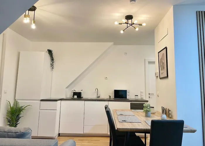 Rooftop Modern With Free Parking 公寓 维也纳
