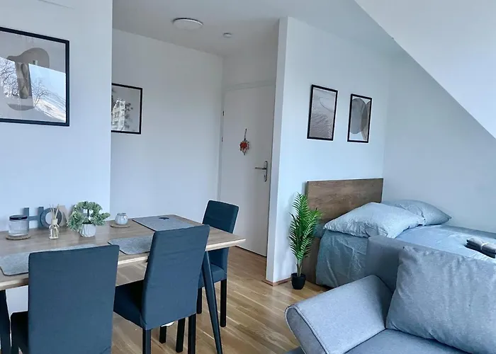 公寓 Rooftop Modern With Free Parking 维也纳
