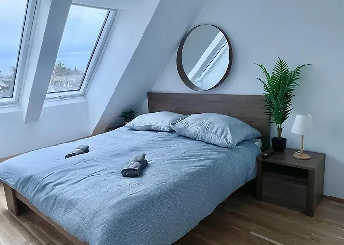 Rooftop Modern With Free Parking 公寓 维也纳