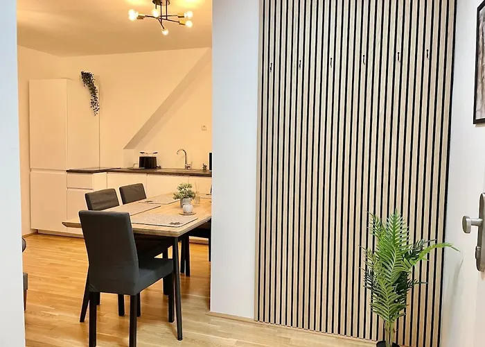公寓 Rooftop Modern With Free Parking 维也纳